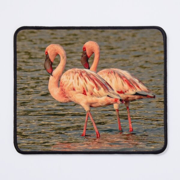 Item preview, Flamingo PayPal dParadise Nights designed and sold by Reempingkygirl.