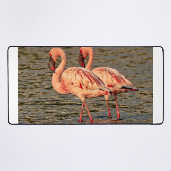 Item preview, Flamingo PayPal dParadise Nights designed and sold by Reempingkygirl.