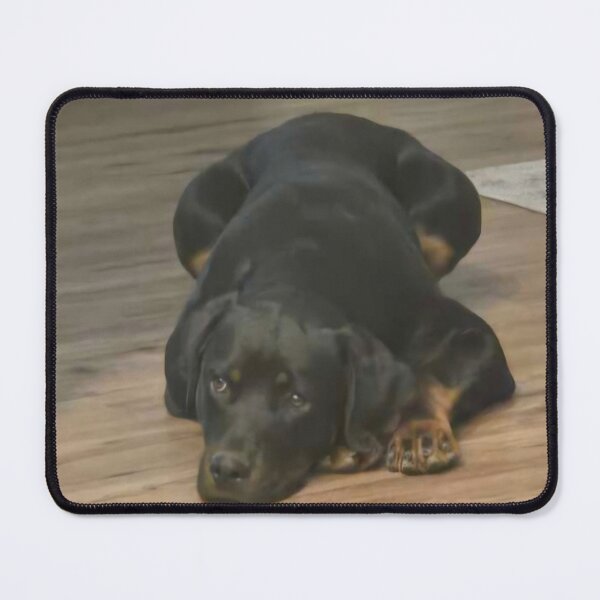Item preview, Cute Rottweiler Puppy designed and sold by Lilyfootprints7.