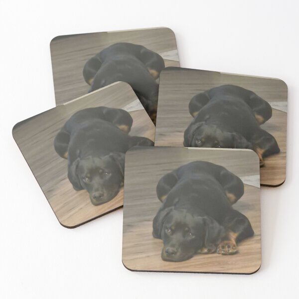 Item preview, Cute Rottweiler Puppy designed and sold by Lilyfootprints7.