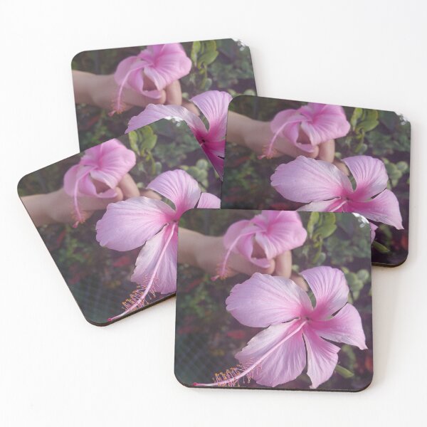 Item preview, Delicate Pink Hibiscus Bloom  Tropical Floral Nature Photography designed and sold by pbchan.