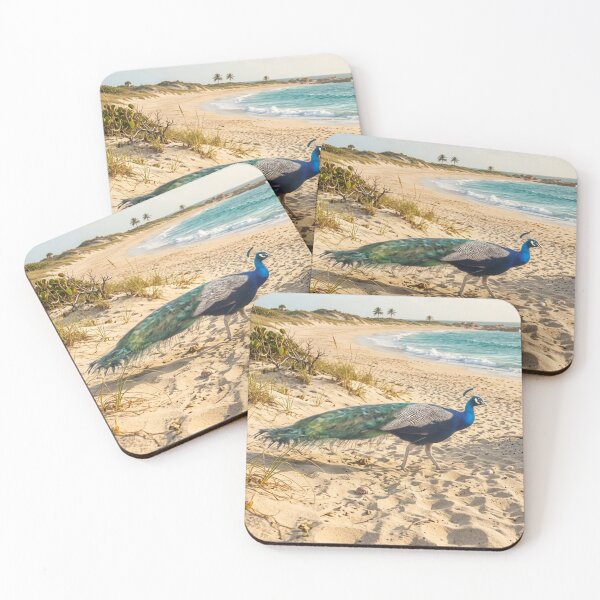 Item preview, Peacock on a Sunny Beach | Coastal Wildlife Nature Photography designed and sold by pbchan.