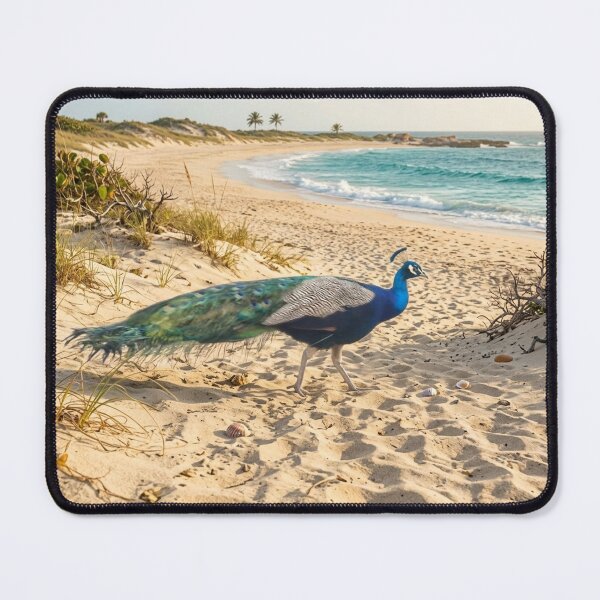 Item preview, Peacock on a Sunny Beach | Coastal Wildlife Nature Photography designed and sold by pbchan.