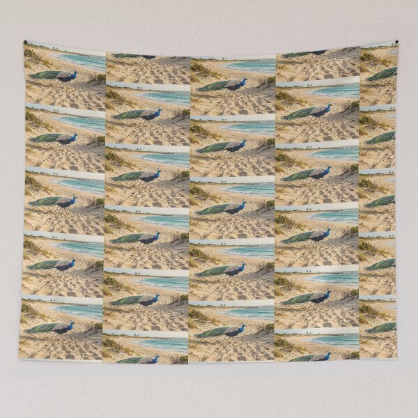 Item preview, Peacock on a Sunny Beach | Coastal Wildlife Nature Photography designed and sold by pbchan.