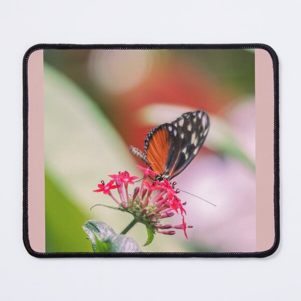 Item preview, Vibrant Orange and Black Butterfly on Bright Red Pentas Flower designed and sold by NorthWild.