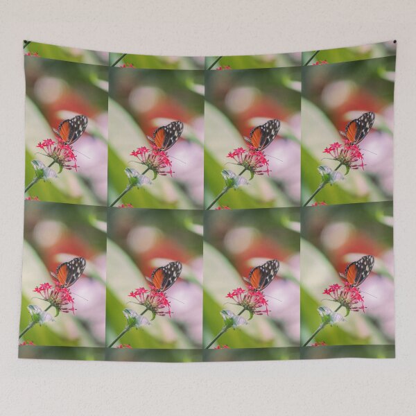 Item preview, Vibrant Orange and Black Butterfly on Bright Red Pentas Flower designed and sold by NorthWild.