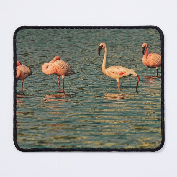 Item preview, Flamingo Liverpool Fc cSunset Glow designed and sold by Reempingkygirl.