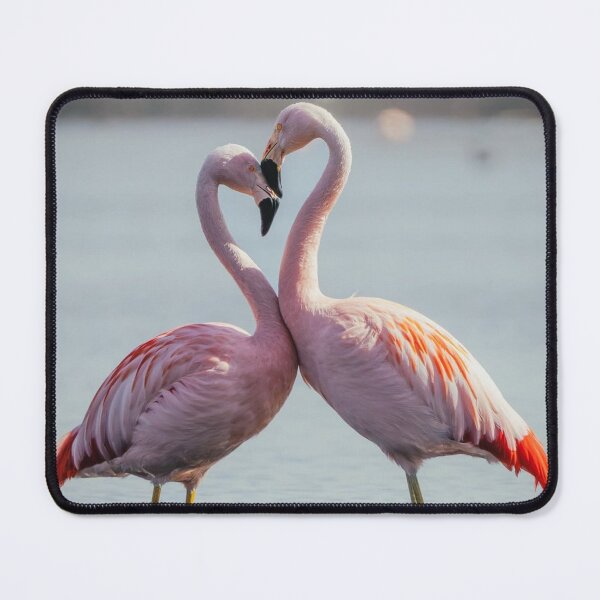 Item preview, Tropical Paw Patrol Zuma Flamingo Waves designed and sold by Reempingkygirl.
