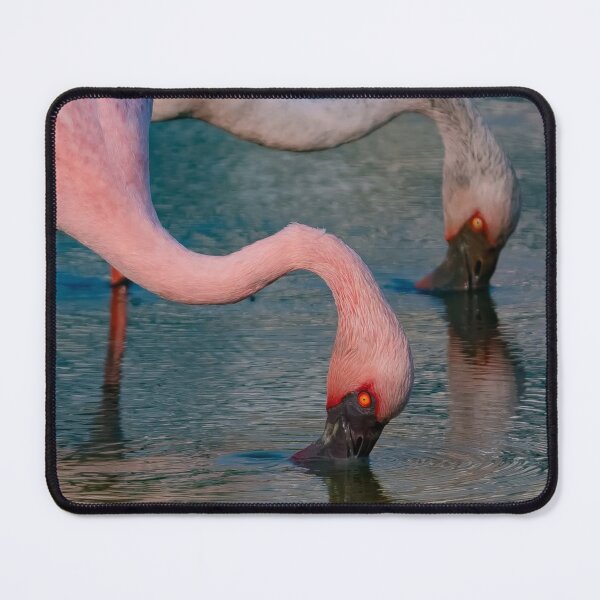 Item preview, Flamingo Kentucky Fried Chicken Kfc fCoastal Charm designed and sold by Reempingkygirl.