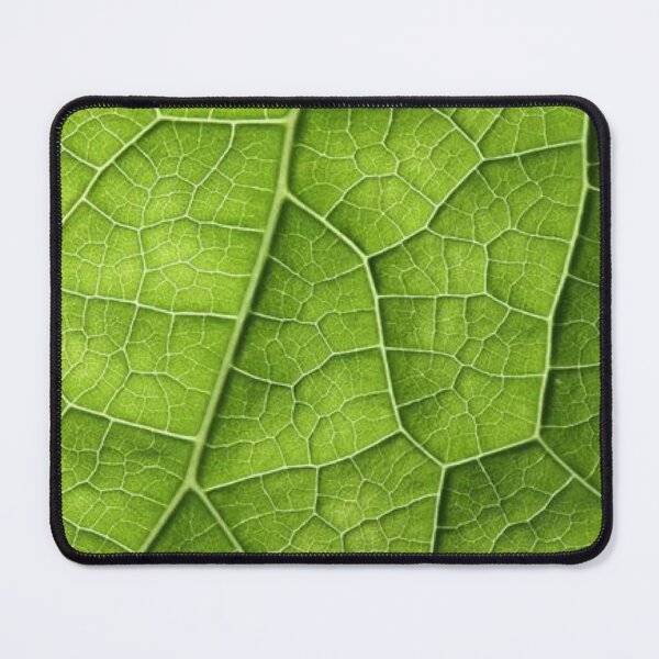 Item preview, Green Leaf Veins Macro Nature Pattern designed and sold by LYAN-STORE.