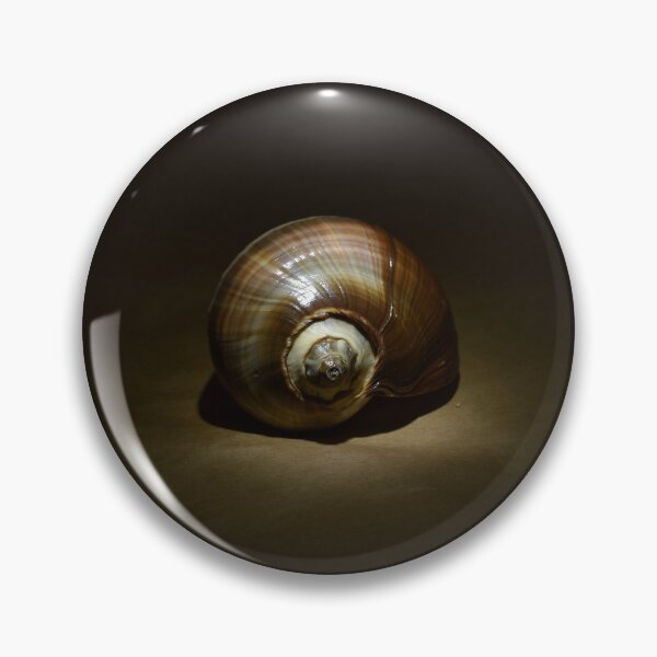 Item preview, Spotlight on a Shell designed and sold by Michaela Perryman.