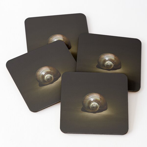 Item preview, Spotlight on a Shell designed and sold by Michaela Perryman.