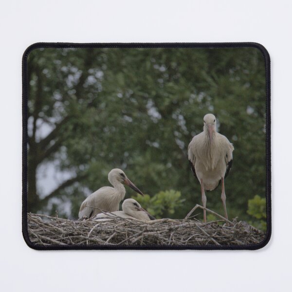 Item preview, Frozen reality - Beautiful nature 930 designed and sold by deep-sea-birds.