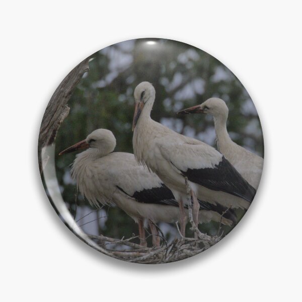 Item preview, Frozen reality - Beautiful nature 932 designed and sold by deep-sea-birds.