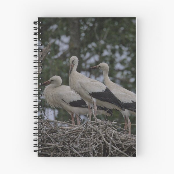 Item preview, Frozen reality - Beautiful nature 932 designed and sold by deep-sea-birds.