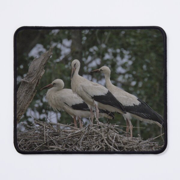 Item preview, Frozen reality - Beautiful nature 932 designed and sold by deep-sea-birds.