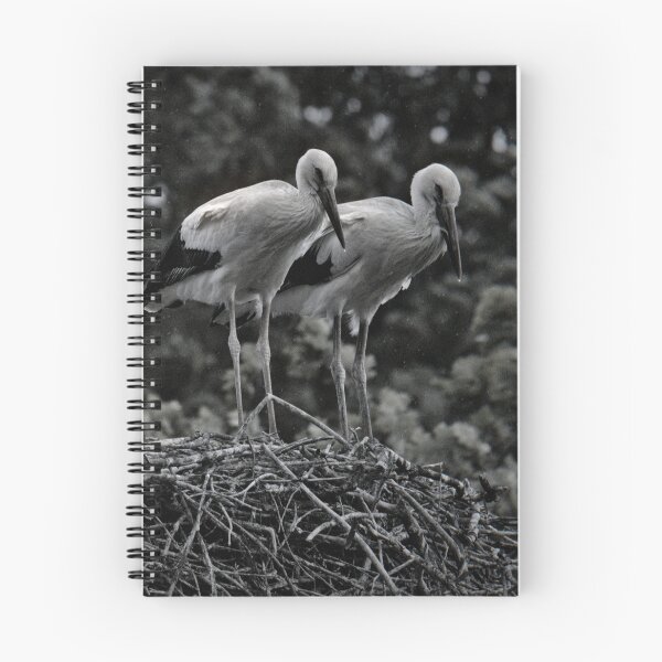 Item preview, Frozen reality - Beautiful nature 934 designed and sold by deep-sea-birds.