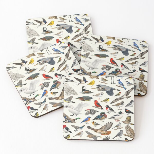 Item preview, Native Birds of Michigan Retro Style Identification Chart designed and sold by kakarikihill.