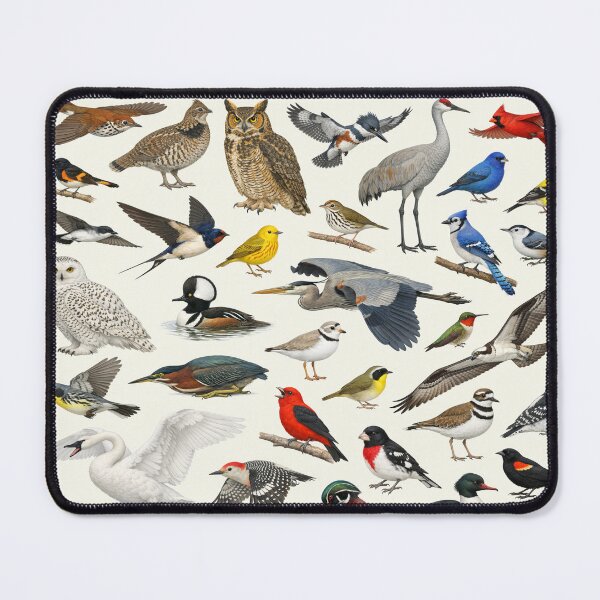 Item preview, Native Birds of Michigan Retro Style Identification Chart designed and sold by kakarikihill.