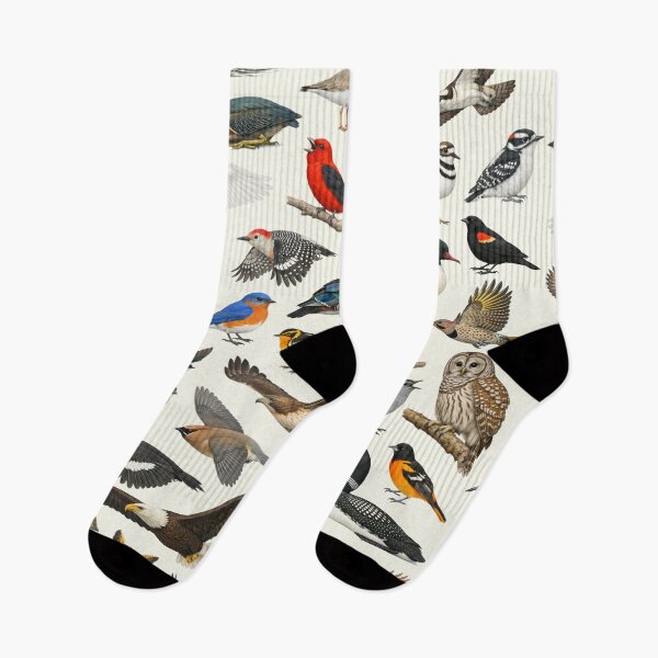 Item preview, Native Birds of Michigan Retro Style Identification Chart designed and sold by kakarikihill.