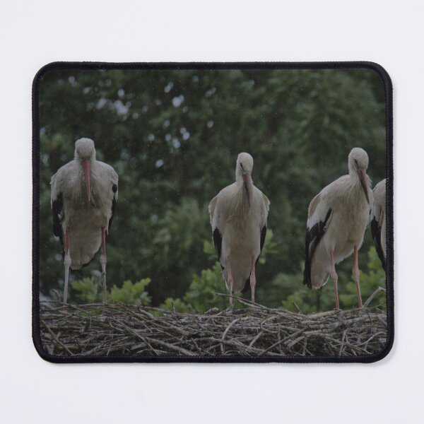Item preview, Frozen reality - Beautiful nature 935 designed and sold by deep-sea-birds.