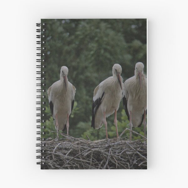 Item preview, Frozen reality - Beautiful nature 935 designed and sold by deep-sea-birds.