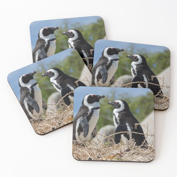 Item preview, Two African Penguins (Spheniscus demersus) designed and sold by Yair Karelic.