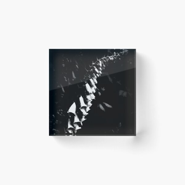 Item preview, The Descent  designed and sold by BLACK SNAKE WHITE DOVE FINE ART PHOTOGRAPHY .