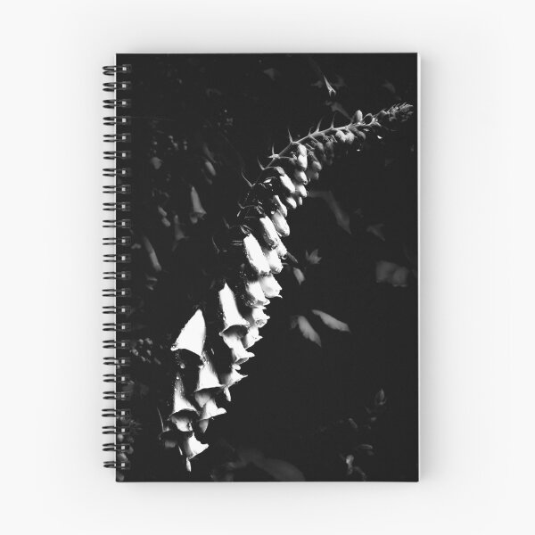 Item preview, The Descent  designed and sold by BLACK SNAKE WHITE DOVE FINE ART PHOTOGRAPHY .