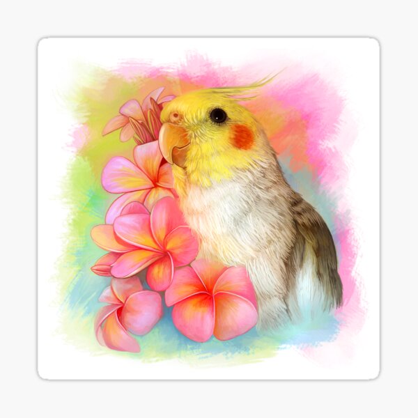 Cockatiel with frangipani Sticker