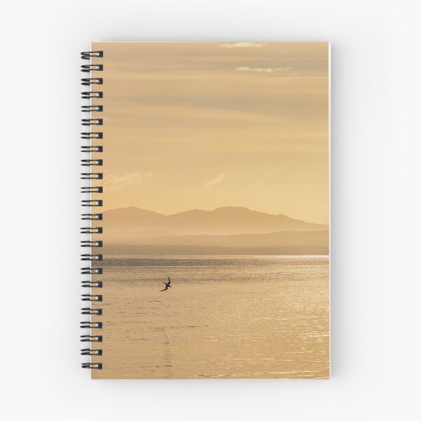 Item preview, Swooping over the Sea, Islay designed and sold by Kasia Design.