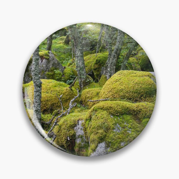Item preview, Moss covered rocks in a forest in Norway designed and sold by Leighton Collins.