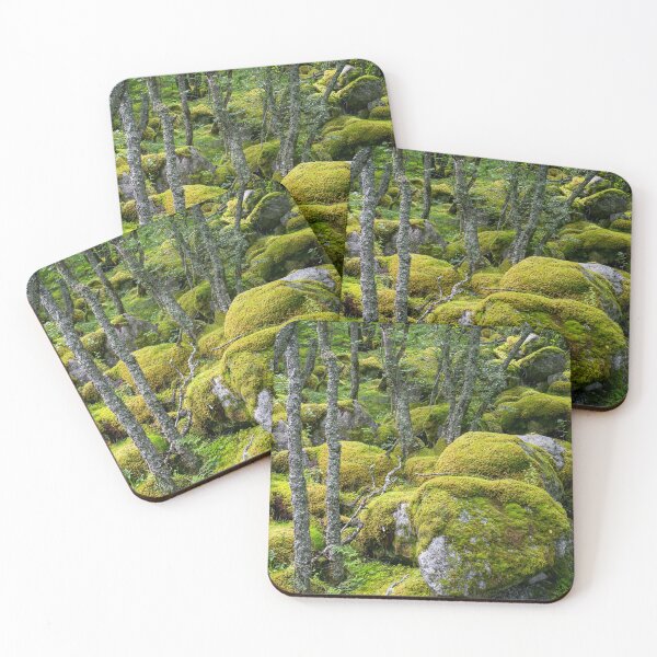 Item preview, Moss covered rocks in a forest in Norway designed and sold by Leighton Collins.