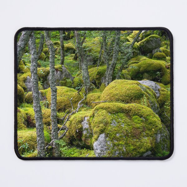 Item preview, Moss covered rocks in a forest in Norway designed and sold by Leighton Collins.