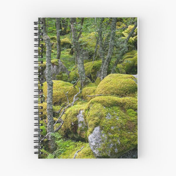 Item preview, Moss covered rocks in a forest in Norway designed and sold by Leighton Collins.