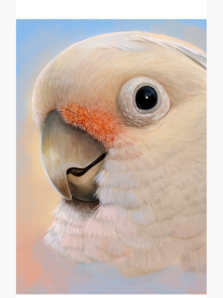 Goffin Tanimbar Corella Cockatoo by lifewithbirds