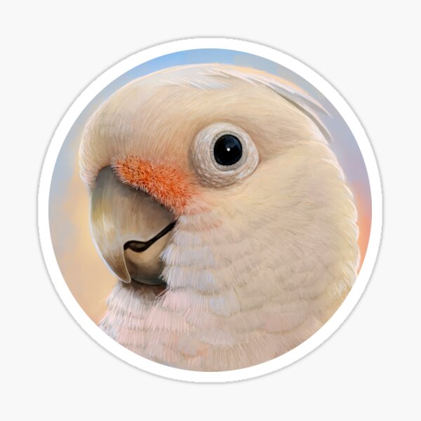 Item preview, Goffin Tanimbar Corella Cockatoo designed and sold by lifewithbirds.