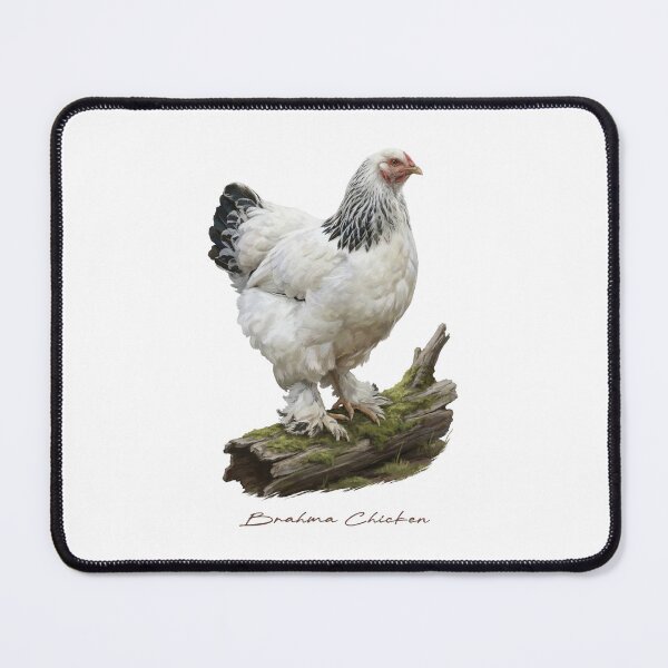 Item preview, Brahma Chicken on Mossy Wood Log Bird Illustration designed and sold by Takeda-art.