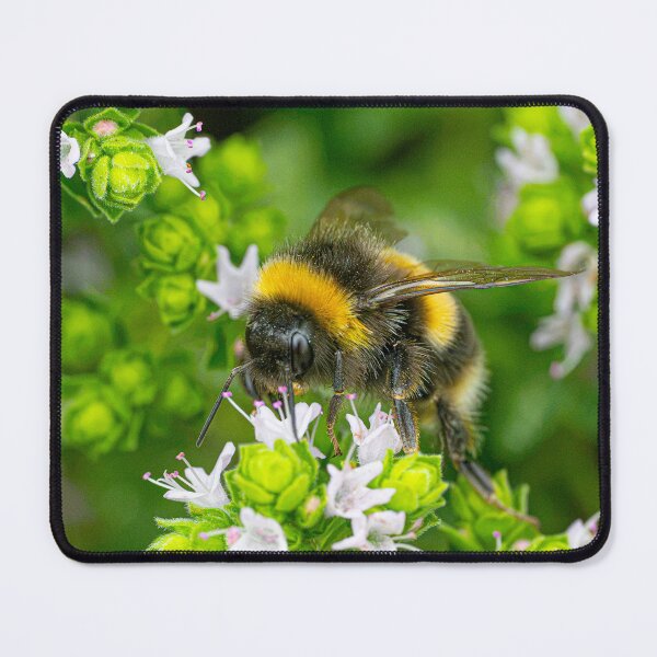 Item preview, Bee on a yellow flower designed and sold by kathleenjean.