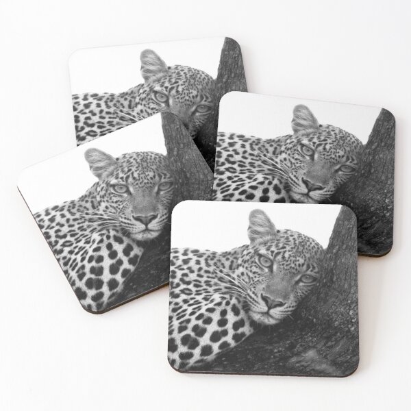 Item preview, Quiet Strength - Black and White Leopard Wildlife Photography designed and sold by Fattosh.