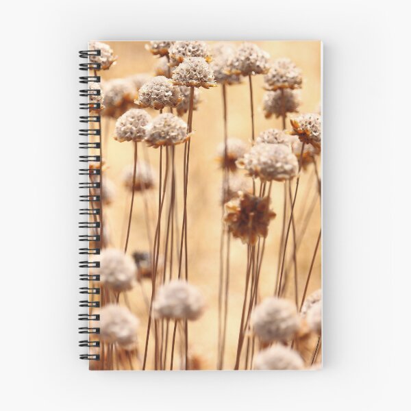 Item preview, Sunlit Dried Flowers designed and sold by eddiebarronshop.