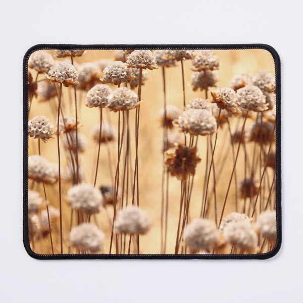 Item preview, Sunlit Dried Flowers designed and sold by eddiebarronshop.