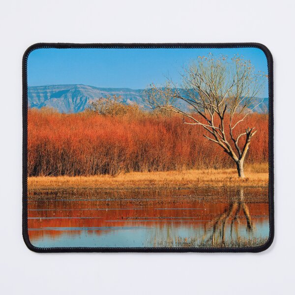 Item preview, Fall Color at Bosque Della Apache designed and sold by Gerard Fornarotto.