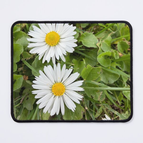 Item preview, Flowers in a Sea Green designed and sold by Betsy Phillips.