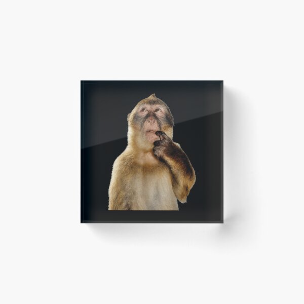 Item preview, Thoughtful Monkey With Curious Thinking Look designed and sold by elderberry.
