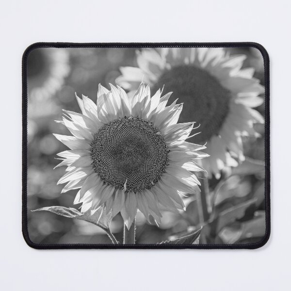 Item preview, Sunflower Field BW designed and sold by MoePhotography.