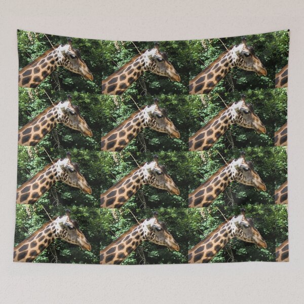 Item preview, Giraffe photograph designed and sold by Natimo-Studio.