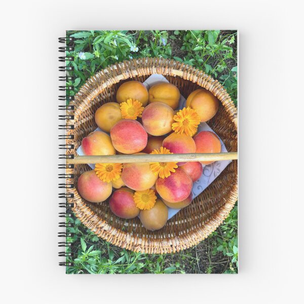 Aperçu de l'œuvre Abricots dans un panier tressé créée et vendue par happytraveller1.