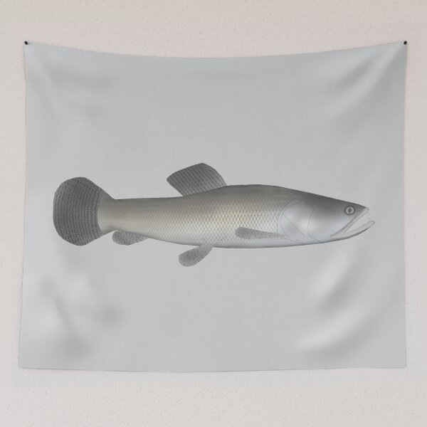 Item preview, Argentine Wolffish designed and sold by fishfolkart.