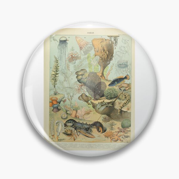 Item preview, Vintage Ocean Life Marine Biology Adolphe Millot  designed and sold by TeeARTHY.